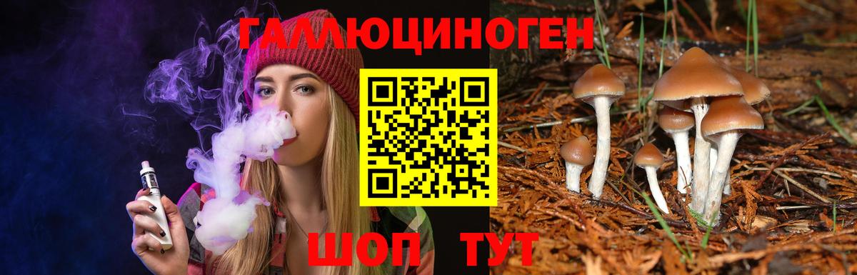 Галлюциногенные грибы ЛСД  Вход с VPN  Алатырь  Галлюциногенные грибы Magic Shrooms 
