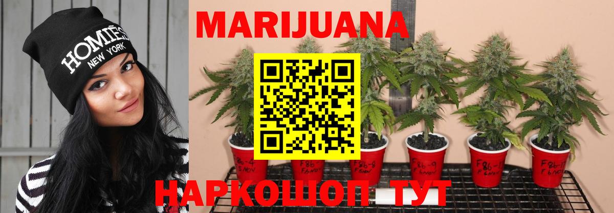 МАРИХУАНА LSD WEED Алатырь